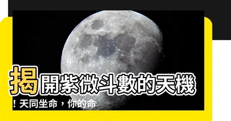 星橋紫微鬥數